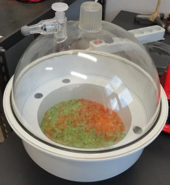 Essicatore a vuoto con gel silice