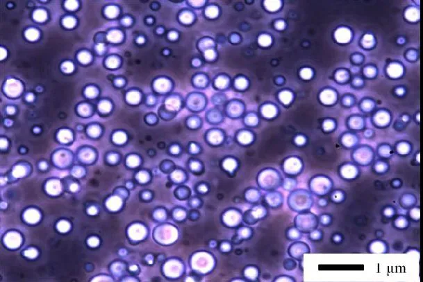 Emulsione prodotta con bagno ultrasuoni SONICA